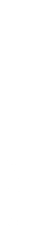 contatti