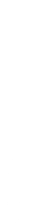 servizi