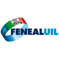 Fenealuil-2